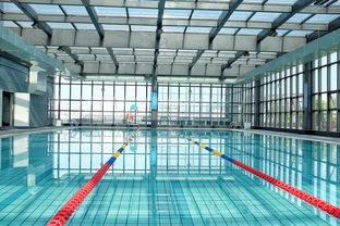 世界游泳锦标赛中国运动员连续夺牌，世界游泳锦标赛中国运动员连续夺牌几次